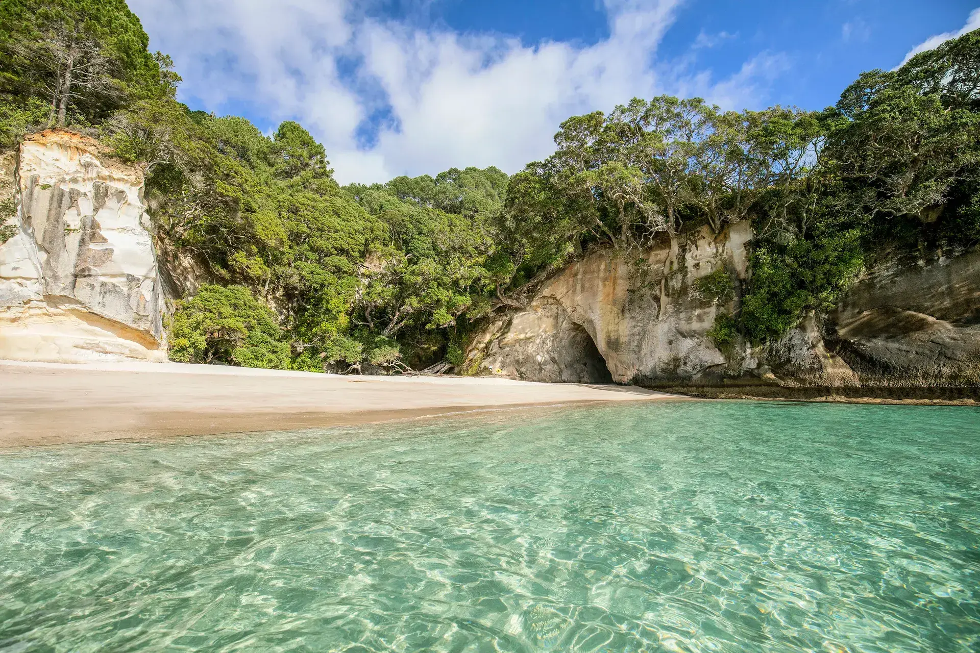 Cathedral Cove Beach